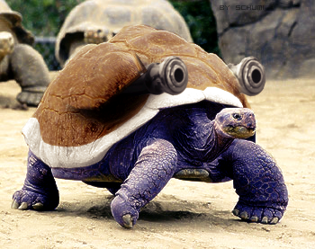 Real_Blastoise__by_MichaelSchumacher5.png